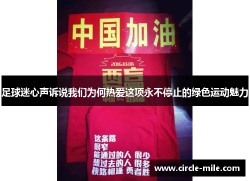 足球迷心声诉说我们为何热爱这项永不停止的绿色运动魅力