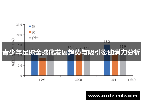 青少年足球全球化发展趋势与吸引赞助潜力分析 青少年足球全球化发展趋势与吸引赞助潜力分析
