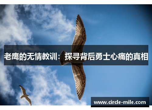 老鹰的无情教训：探寻背后勇士心痛的真相