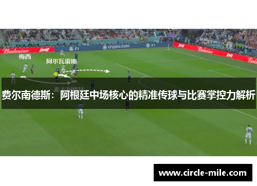 费尔南德斯：阿根廷中场核心的精准传球与比赛掌控力解析