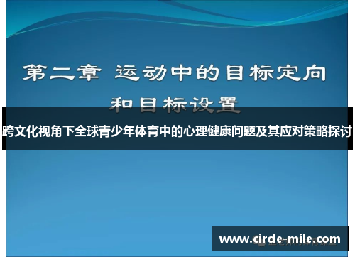 跨文化视角下全球青少年体育中的心理健康问题及其应对策略探讨