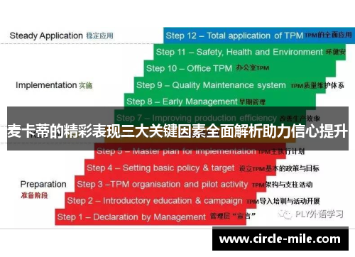 麦卡蒂的精彩表现三大关键因素全面解析助力信心提升