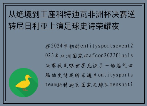 从绝境到王座科特迪瓦非洲杯决赛逆转尼日利亚上演足球史诗荣耀夜