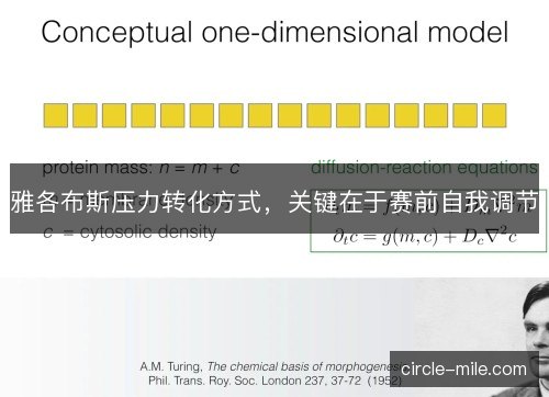 雅各布斯压力转化方式，关键在于赛前自我调节